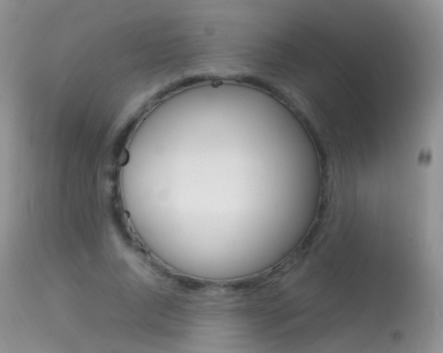 X0000113290736200909141004