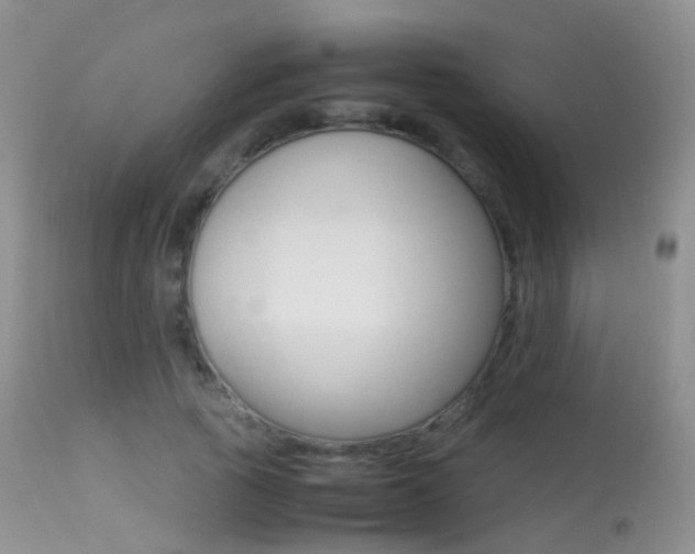 X0000113290737200909141004