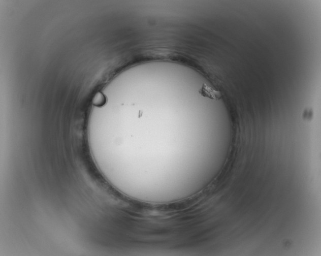 X0000113290739200909141004