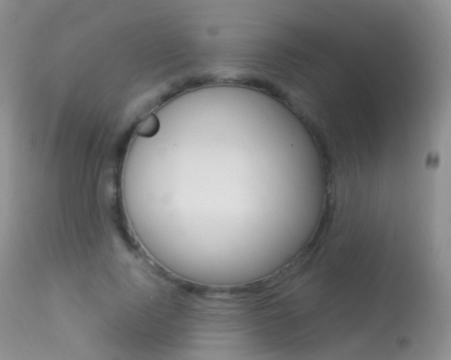 X0000113290740200909141004
