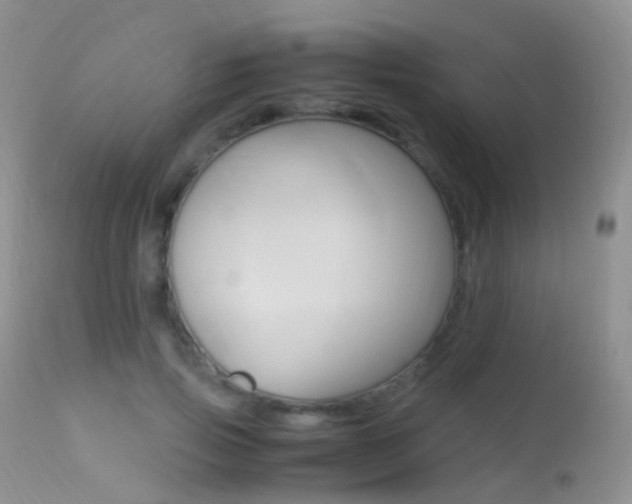 X0000113290741200909141004