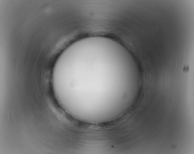 X0000113290742200909141004