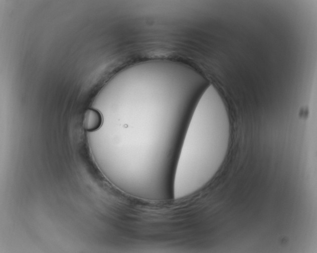 X0000113290743200909141004