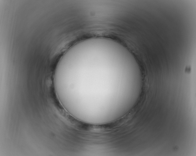 X0000113290746200909141004