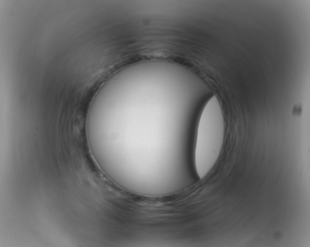 X0000113290747200909141004