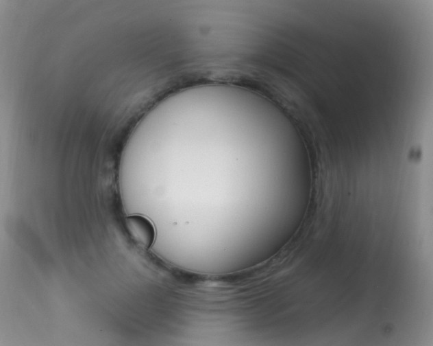 X0000113290748200909141004