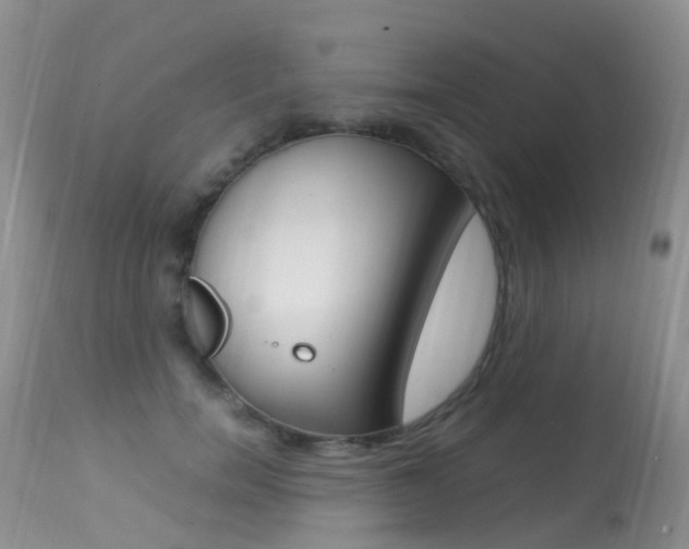 X0000113290750200909141004