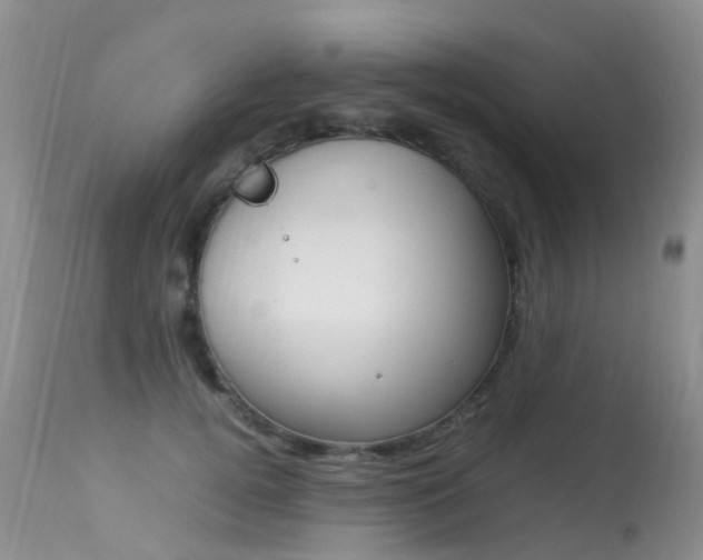X0000113290752200909141004