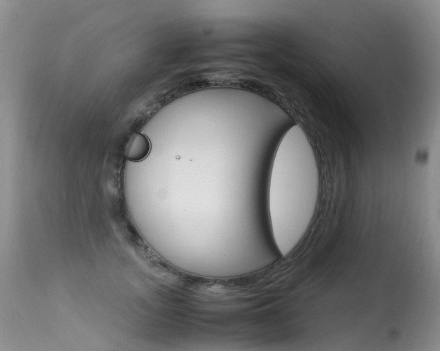 X0000113290755200909141004