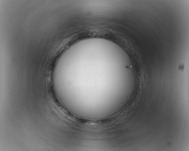 X0000113290756200909141004