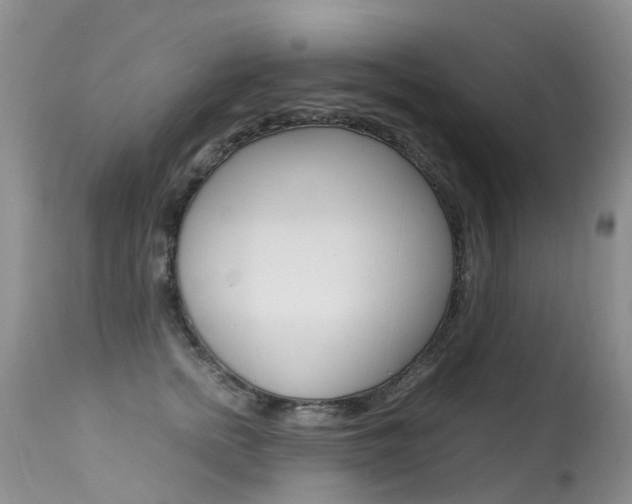 X0000113290758200909141004