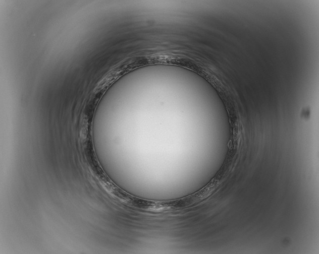 X0000113290760200909141004