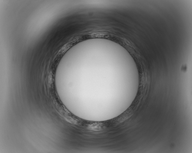 X0000113290761200909141004