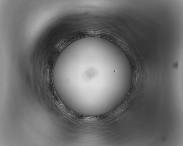 X0000113290762200909141004