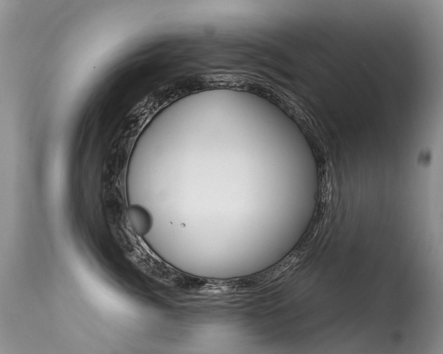 X0000113290764200909141004