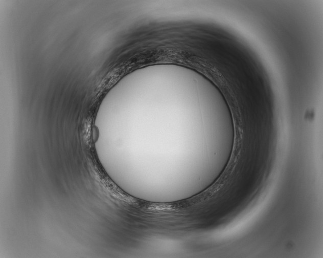 X0000113290767200909141005