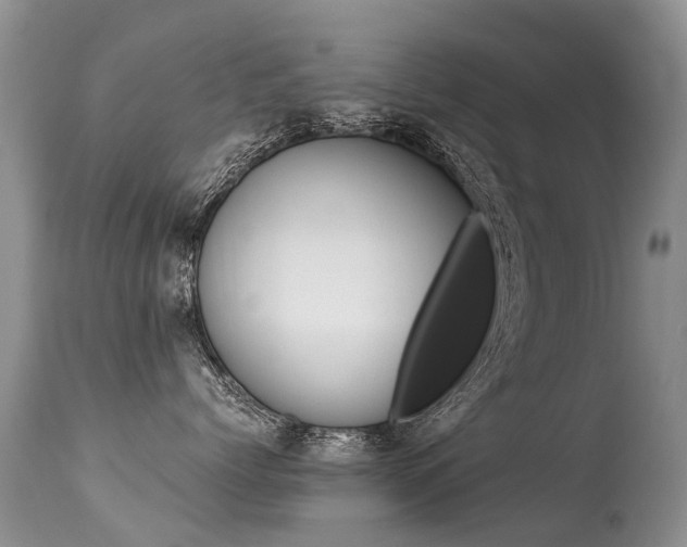 X0000113290768200909141005