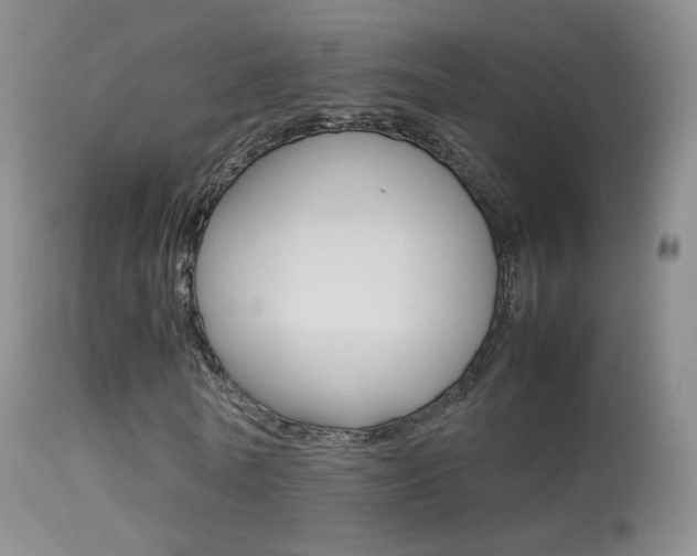 X0000113290770200909141004