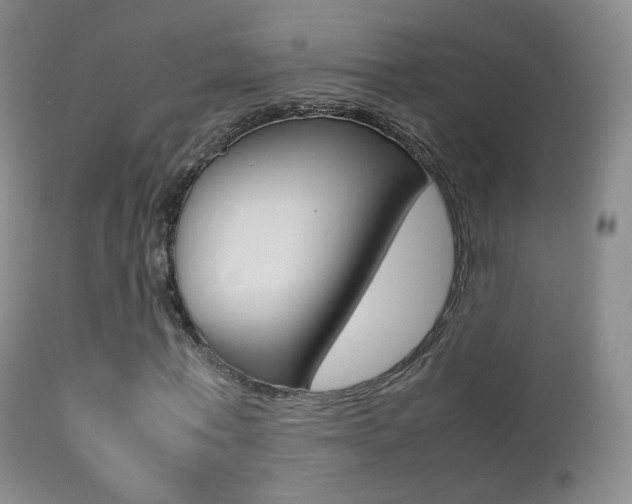 X0000113290771200909141004