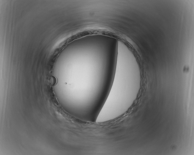X0000113290775200909141004