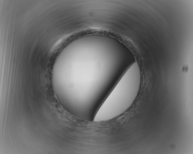 X0000113290776200909141004