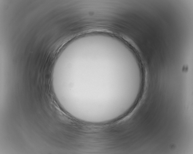 X0000113290777200909141004