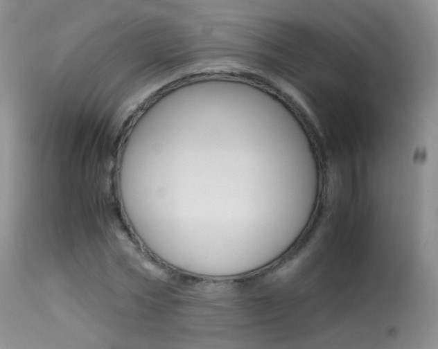 X0000113290778200909141004