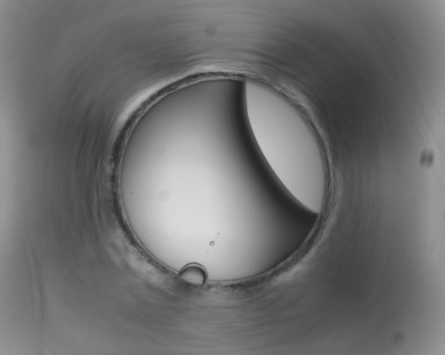 X0000113290779200909141004