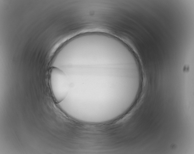X0000113290781200909141004