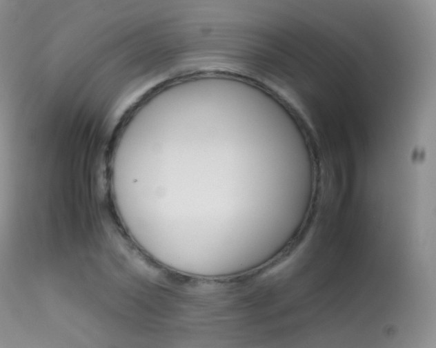 X0000113290782200909141004