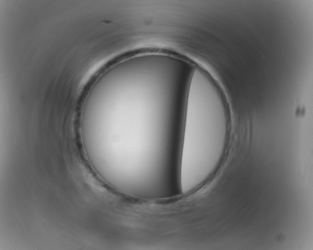 X0000113290783200909141004
