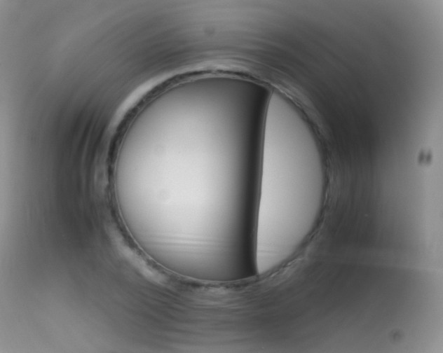 X0000113290784200909141004