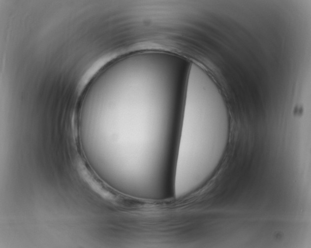 X0000113290796200909141004
