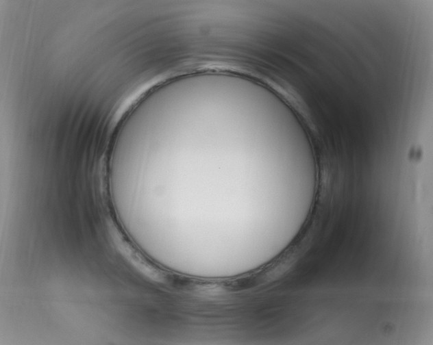 X0000113290798200909141003