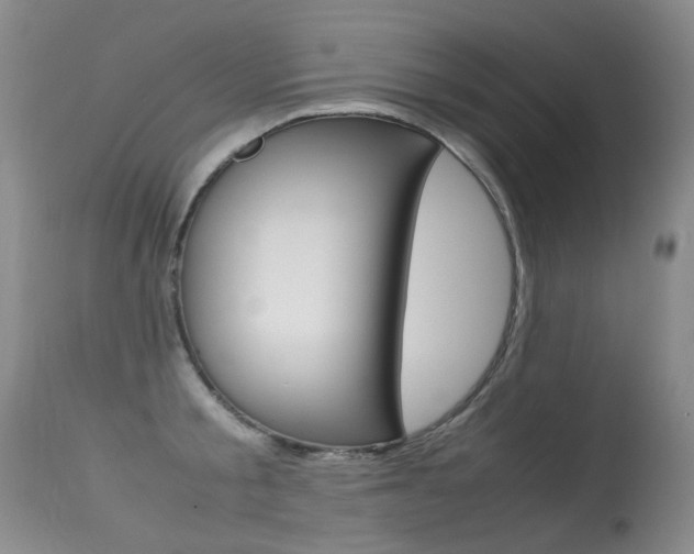 X0000113290805200909141003