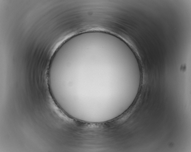 X0000113290806200909141003