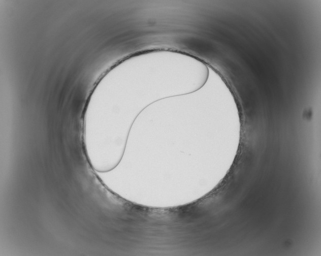 X0000113290807200909141003