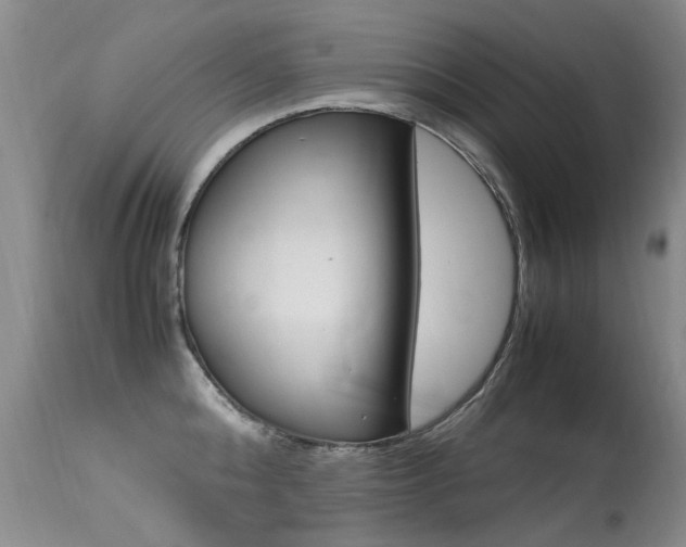 X0000113290808200909141003