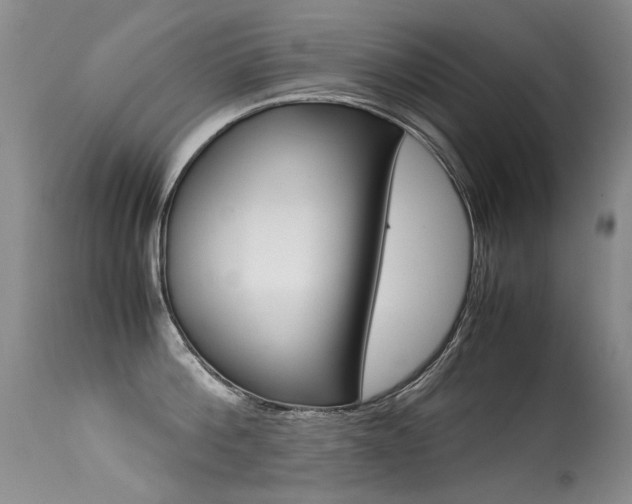 X0000113290812200909141003