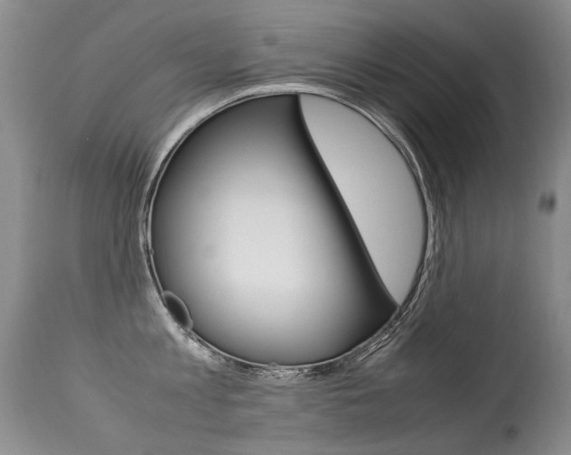 X0000113290813200909141003