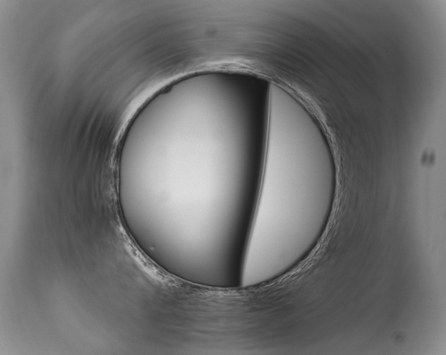 X0000113290816200909141003