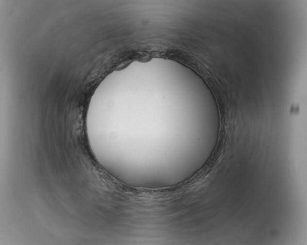 X0000113290818200909141002
