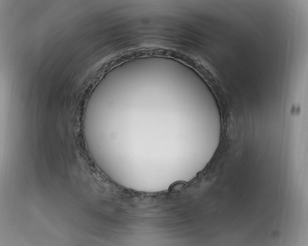 X0000113290821200909141002