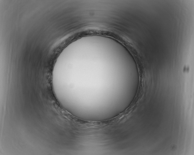 X0000113290822200909141002
