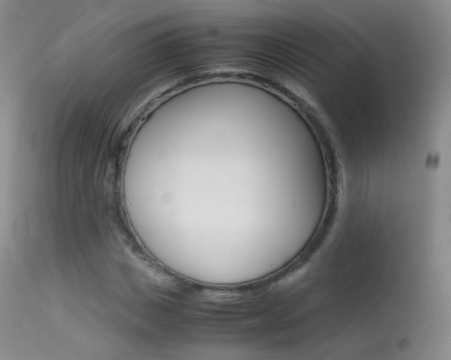 X0000113290825200909141003