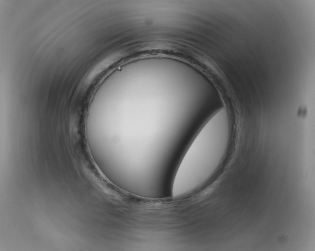 X0000113290826200909141003