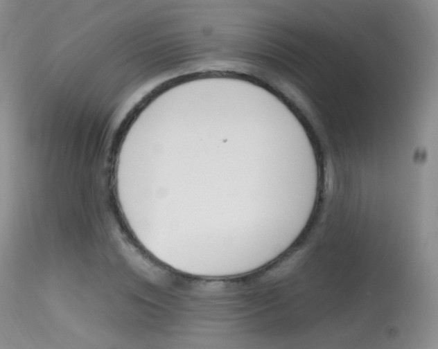 X0000113290828200909141003