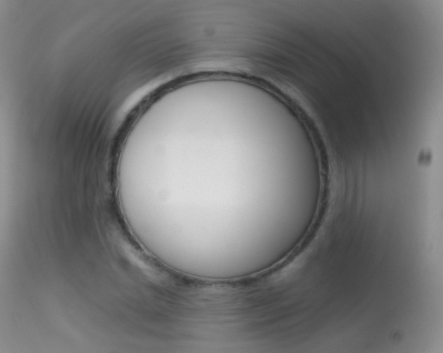 X0000113290830200909141003