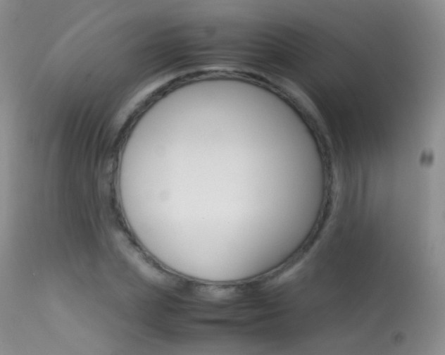 X0000113290831200909141003