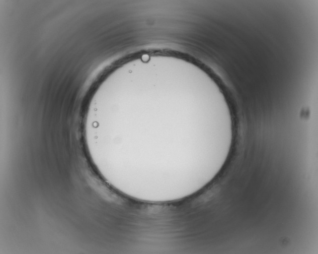 X0000113290832200909141003